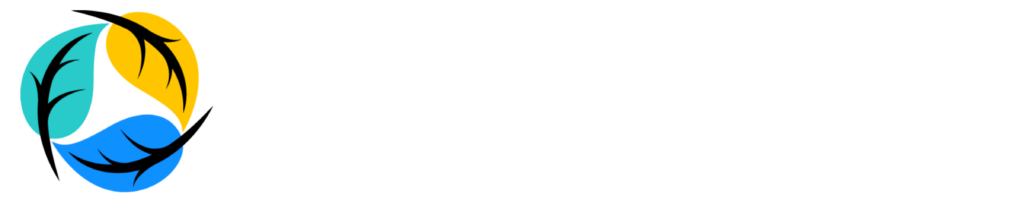 Anti-racist and Intersectional Justice Fund logo